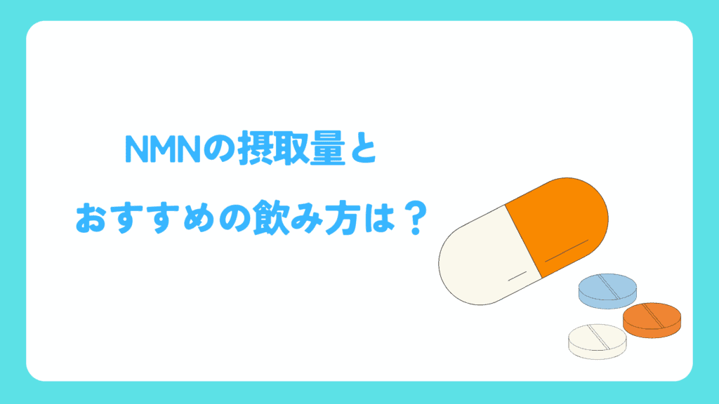 NMNの飲み方と摂取量